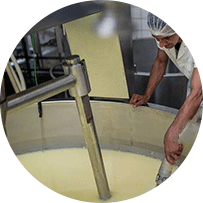افزایش نقطه ذوب پنیر